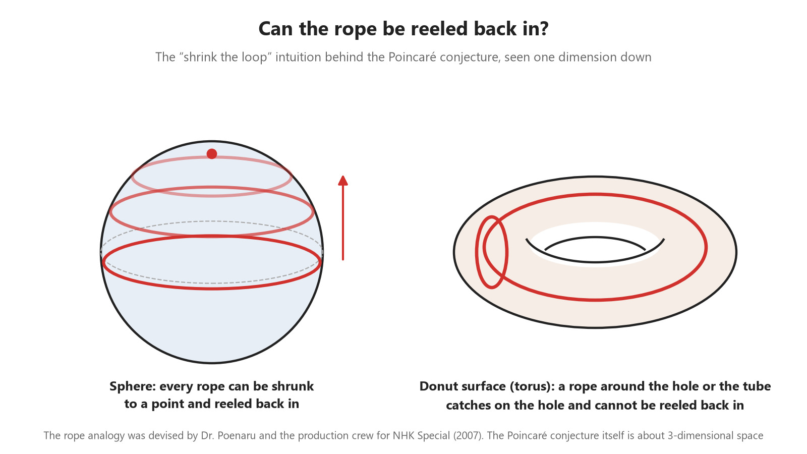 Can the rope be reeled in? On a sphere it always can, but on the surface of a doughnut some loops catch on the hole and cannot