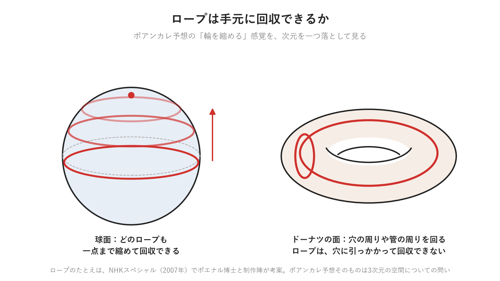 ロープを回収できるか。球面では必ず回収できるが、ドーナツの面では穴に引っかかって回収できない輪がある